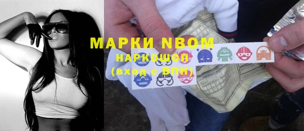 индика Алзамай