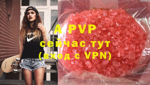 хмурый Алексеевка