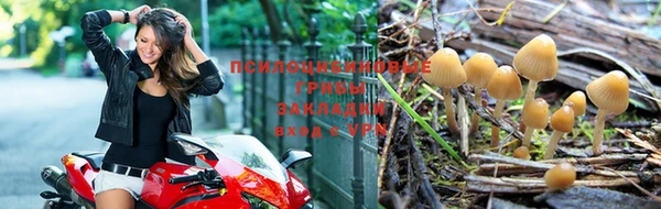 хмурый Алексеевка