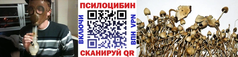 даркнет сайт  ссылка на мегу   Псилоцибиновые грибы Magic Shrooms  Пикалёво 